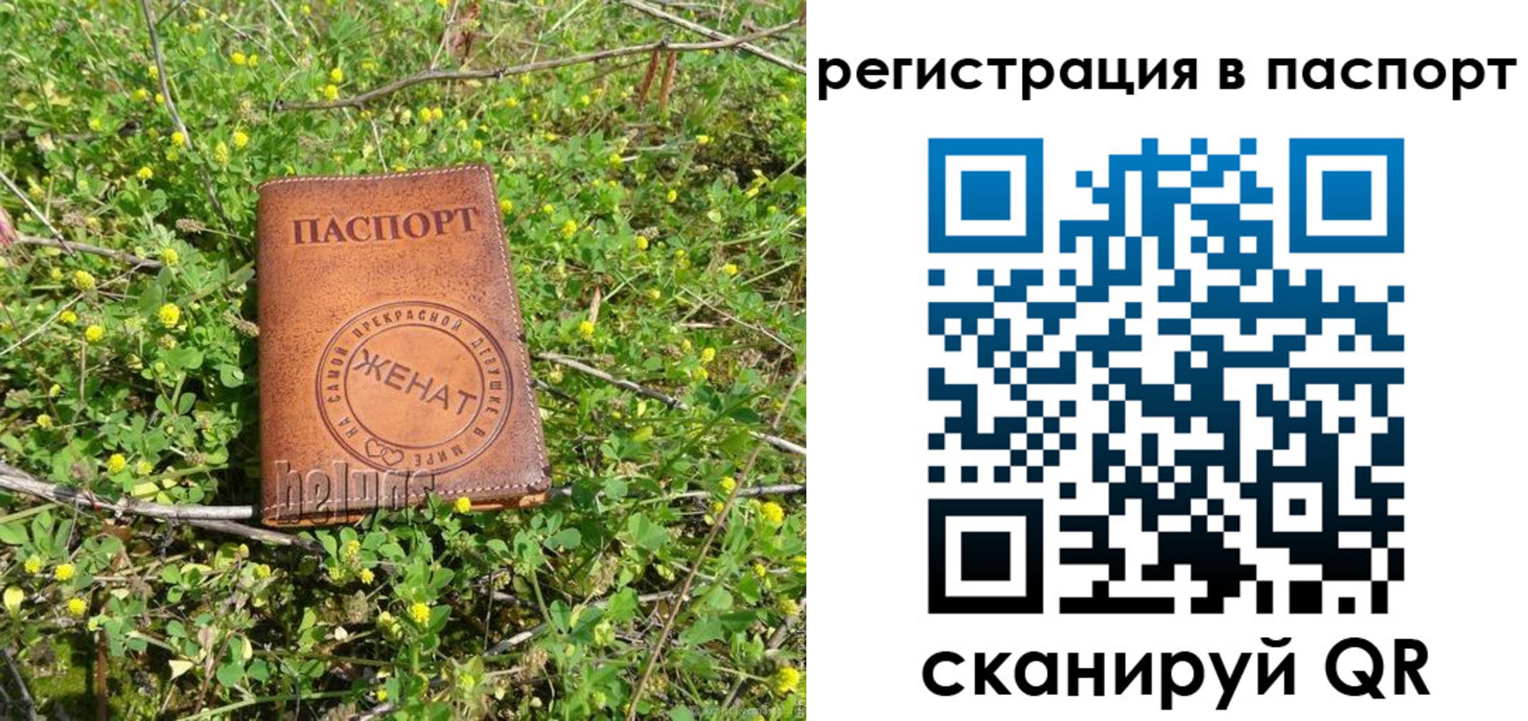 прописка законно в Чегеме
